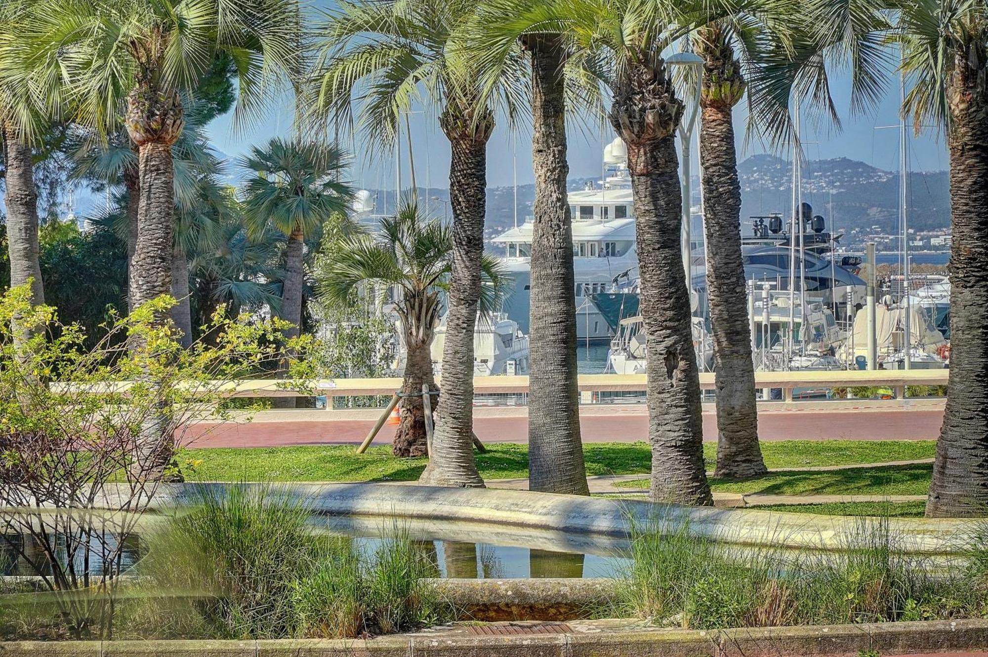 Le Palm - 100M Plage - Croisette - Verriere Cote D'Azur Cannes Exterior foto