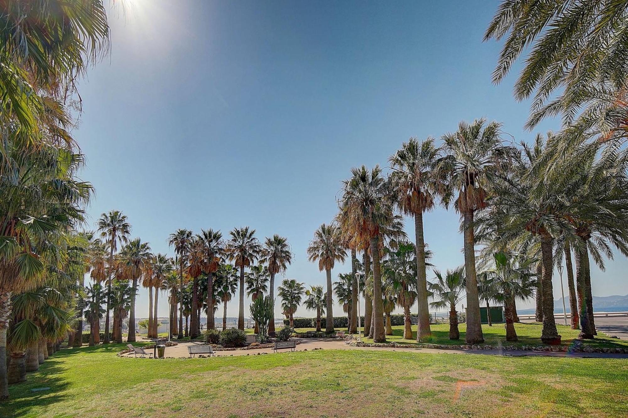 Le Palm - 100M Plage - Croisette - Verriere Cote D'Azur Cannes Exterior foto