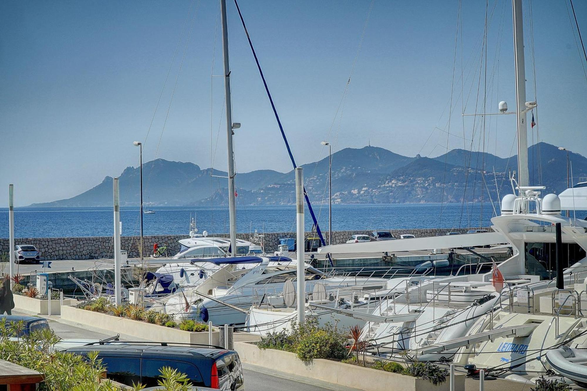 Le Palm - 100M Plage - Croisette - Verriere Cote D'Azur Cannes Exterior foto